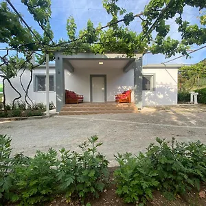 Pensión Progon House, Tepelene